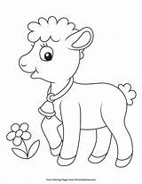 Coloring Lamb Baby Pages Printable Animal Color Primarygames Easter Spring Animals Ebook Kids sketch template