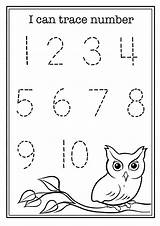 Numbers Worksheets Worksheet Lesson Teachersmag Plan Toddlers Traceable Cognitive Owls sketch template