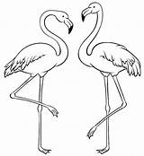 Colorir Imprimir Flamingos Poplembrancinhas sketch template
