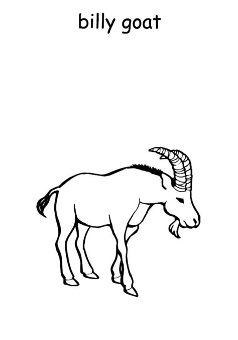 billy  goat coloring pages  kids  place  color goat