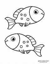 Coloring Printcolorfun Blowfish sketch template