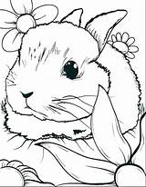 Bunny Ears Coloring Getdrawings sketch template