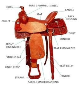 western saddle parts images