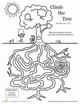 Worksheets Tree Earth Maze Worksheet Preschool Educational Kids Science Amazing Activities Education Mazes Printables Fun Trees Plant Plants Mother Read sketch template