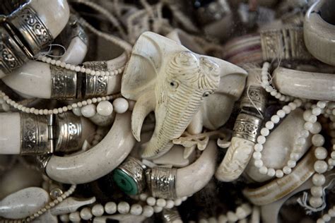 where the chinese go to buy illegal ivory the independent