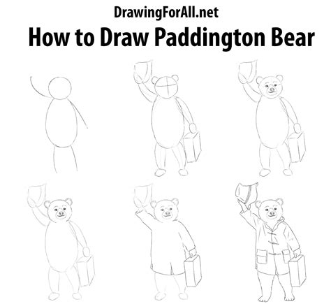 draw paddington bear paddington bear bear drawing bear art
