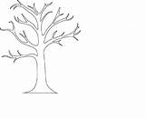 Tree Outline Printable Cliparts Coloring Pages Attribution Forget Link Don sketch template