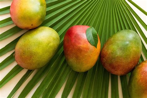 pick mangos balancing motherhood