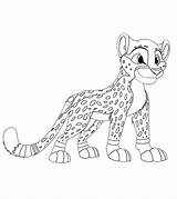 Cheetah Colorir Momjunction Kindergarten Hunting Pequeno Pardal Tont Leopardo sketch template