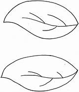 Leaf Outline Clipart Clip Cliparts Template Outlines Simple Library sketch template