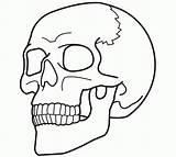 Skulls Coloringhome sketch template