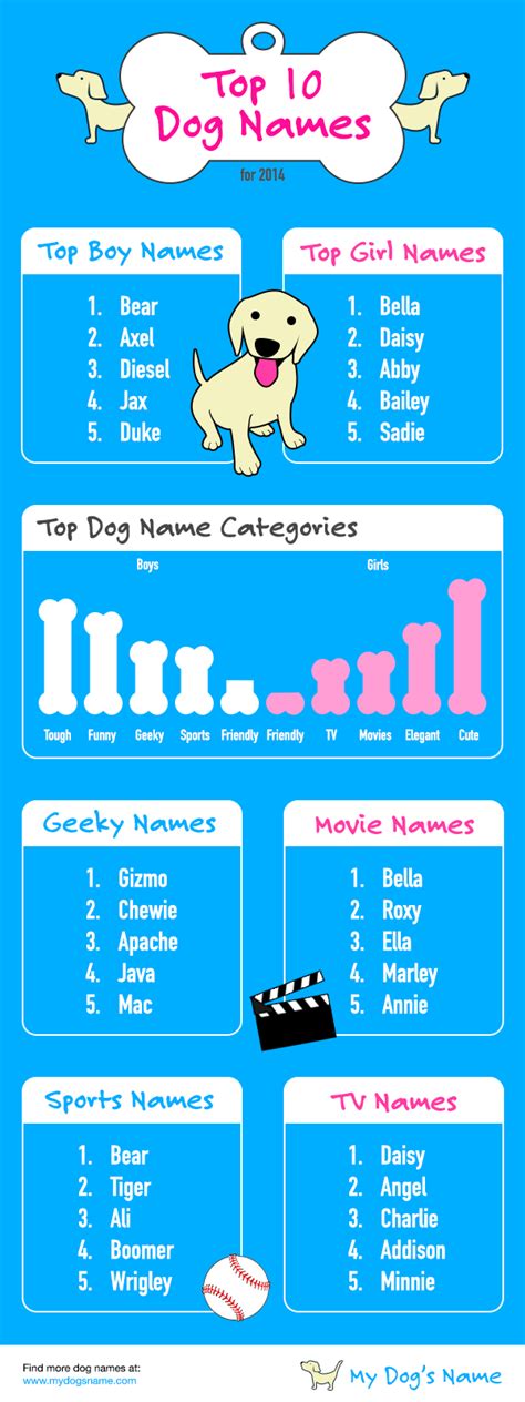 top  dog names infographic pet pet dog  animal