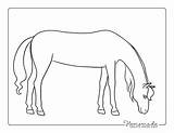 Horse Coloring Pages Outline Simple Grazing Color Pdf Easy Kids Jumping Printables sketch template