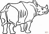 Rhinoceros Rhino Rhinocéros Ausmalbild Nashorn Panzernashorn Schaut Vorn Rhinos Lapin Kategorien Adorable sketch template