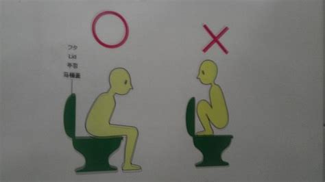ridiculous instructions on how to go to the toilet