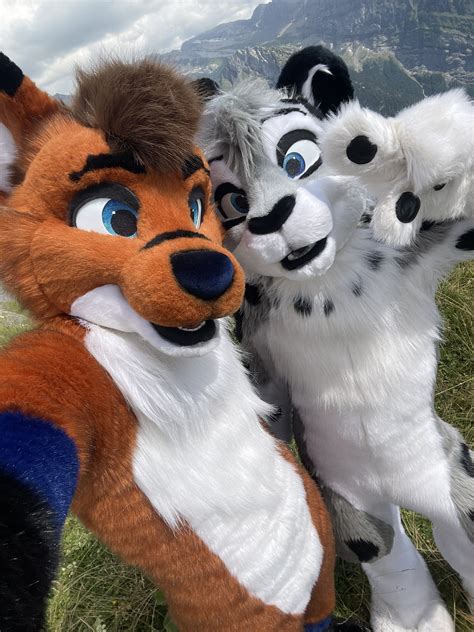 Fursuits By Lacy On Twitter Rt Xavoto Fox Hey Look A Cutie 👀👀