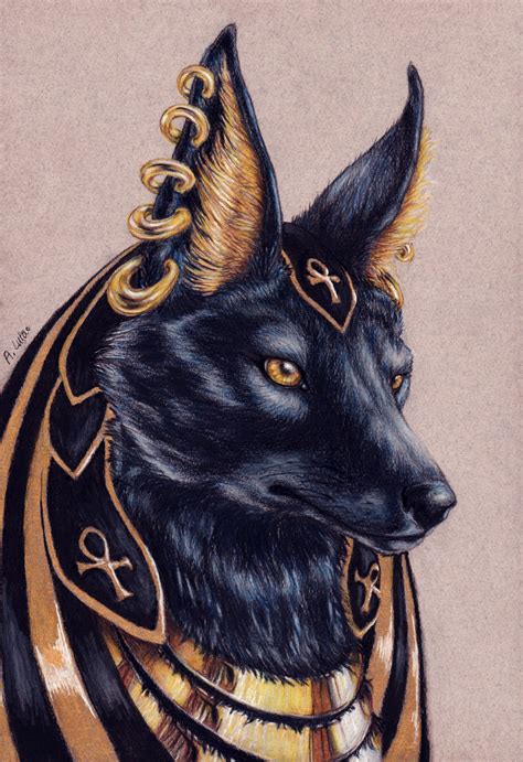 anubis coloured pencils charcoal and gold dust 24x32 cm ift tt