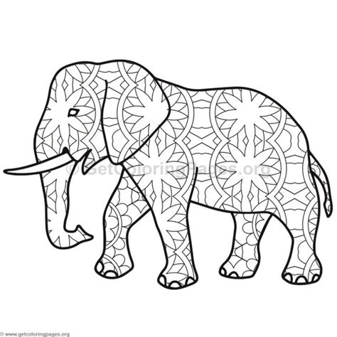 pin   coloring pages  animal coloring pages elephant coloring