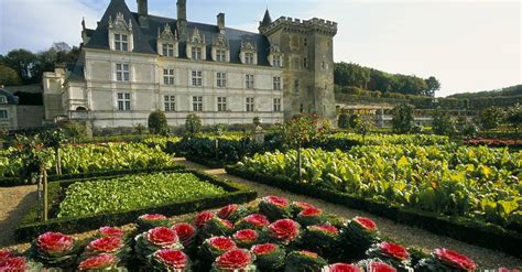 chateau  gardens  villandry blois chambord tourism