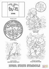 Coloring Iowa State Symbols Pages Printable Idaho Flower 1440px 1020 65kb Divyajanani Supercoloring Bird sketch template