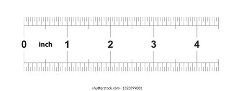double sided   ruler price stock vector royalty