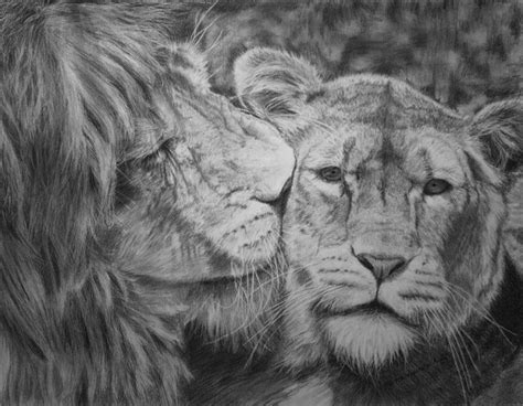 cool lion drawings  inspiration hative