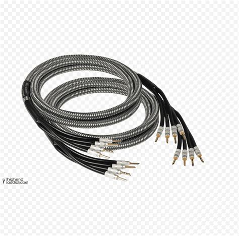 altavoz cable coaxial goldkabel chorus biwire biwiring cable electrico cable de altavoz