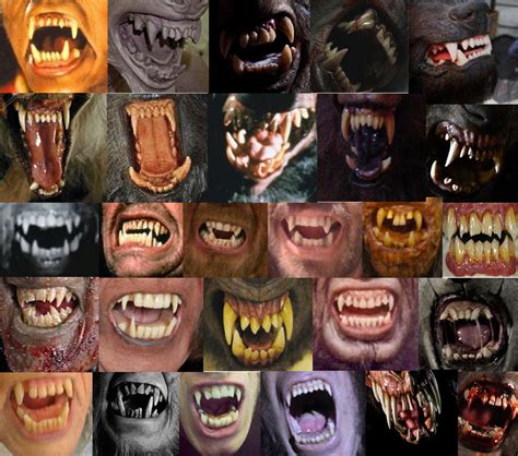 werewolf teeth  chowduke  deviantart