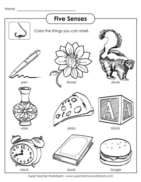 printable  senses worksheets  sense worksheet printable