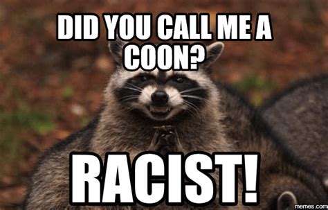 18 evil plotting raccoon memes that will make you nervously laugh just