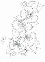 Flower Coloring Pages Border Color Getcolorings Hibiscus Printable sketch template