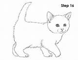 Kitten Draw Drawing Easy Kitty Cat Drawings Step Line Tail Animals sketch template