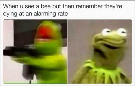 bee  remember theyre dying   alarming rate kermit  frog   meme