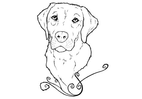 dog coloring book puppy coloring pages disney coloring pages