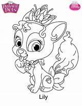 Pets Palace Coloring Pages Princess Lily Fun Kids sketch template