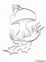 Mushroom Coloring Pages Printable Autumn Getcolorings Colo Getdrawings sketch template