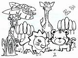 Rainforest Animals Coloring Pages Tropical Color Getcolorings Printable sketch template