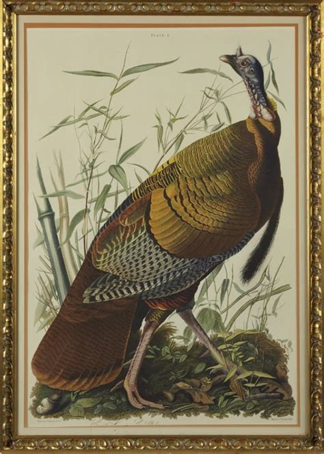 john james audubon 1785 1851 wild turkey plate 1 lot 857