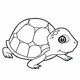 Turtle Coloring Sea Tortoise Dilophosaurus Drawings Funny Cartoon Drawing Snapping Loggerhead Gopher Color Hare Clipartmag Getcolorings Redneck Paintingvalley Pages Template sketch template