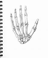 Skeleton Hand Sketch Drawing Sketches Paintingvalley sketch template