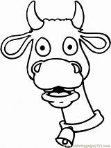 Cow Coloring Face Funny Pages Printable Animals Color sketch template