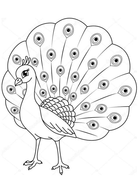 coloring pages peacock coloring pages  preschoolers