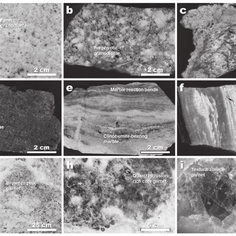 skarn type minerals   prograde metasomatic stage source