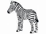 Zebra Coloring Baby Pages Cute Zebras Printable Clipart Cliparts Cartoon Drawing Kid Print Clipartmag Color Getcolorings Getdrawings Face Library sketch template
