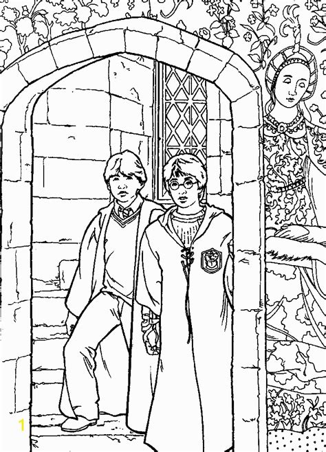 harry potter   chamber  secrets coloring pages divyajananiorg
