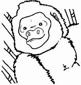 Apen Colorare Mewarnai Dieren Monkeys Monyet Coloriages Affen Singes Animasi Scimmia Bergerak Pages Scimmie Ausmalbilder Eu Downloaden Anda Disegnidacolorare Kleurplatenwereld sketch template