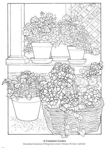pin  floral colouring coloring pages