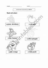 Fruits Coloring Worksheet Preview sketch template