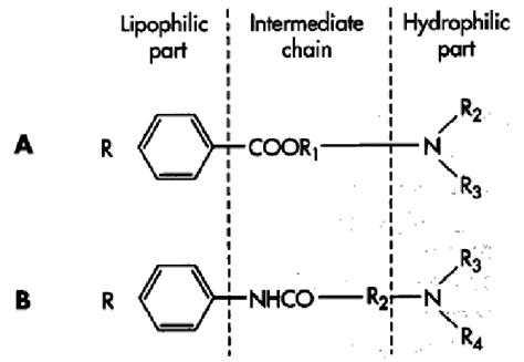 typical local anesthetic  ester type  amide type  scientific diagram