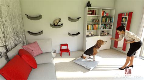 transforming  living room   pawsome pet friendly oasis rosso matto